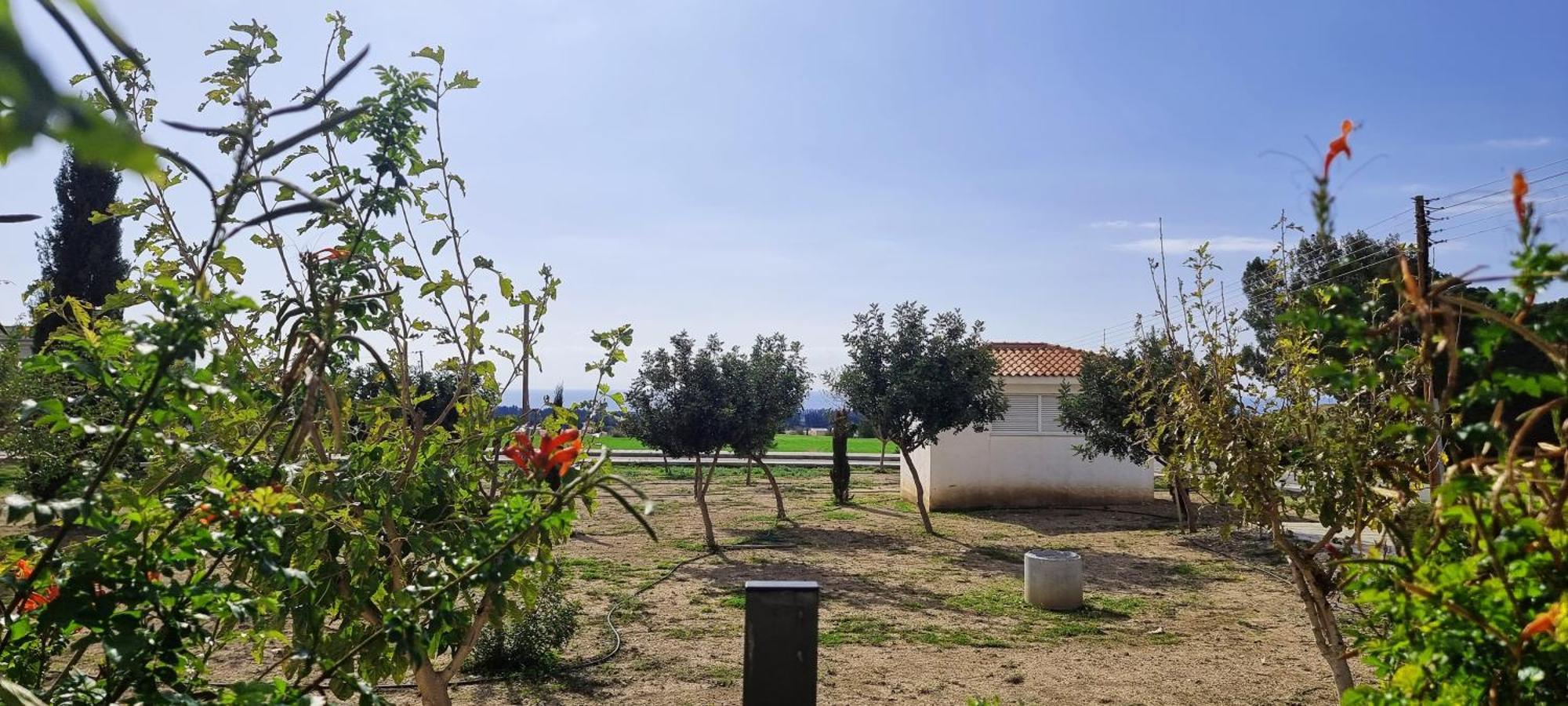 Shanti Paphos Villa Luaran gambar