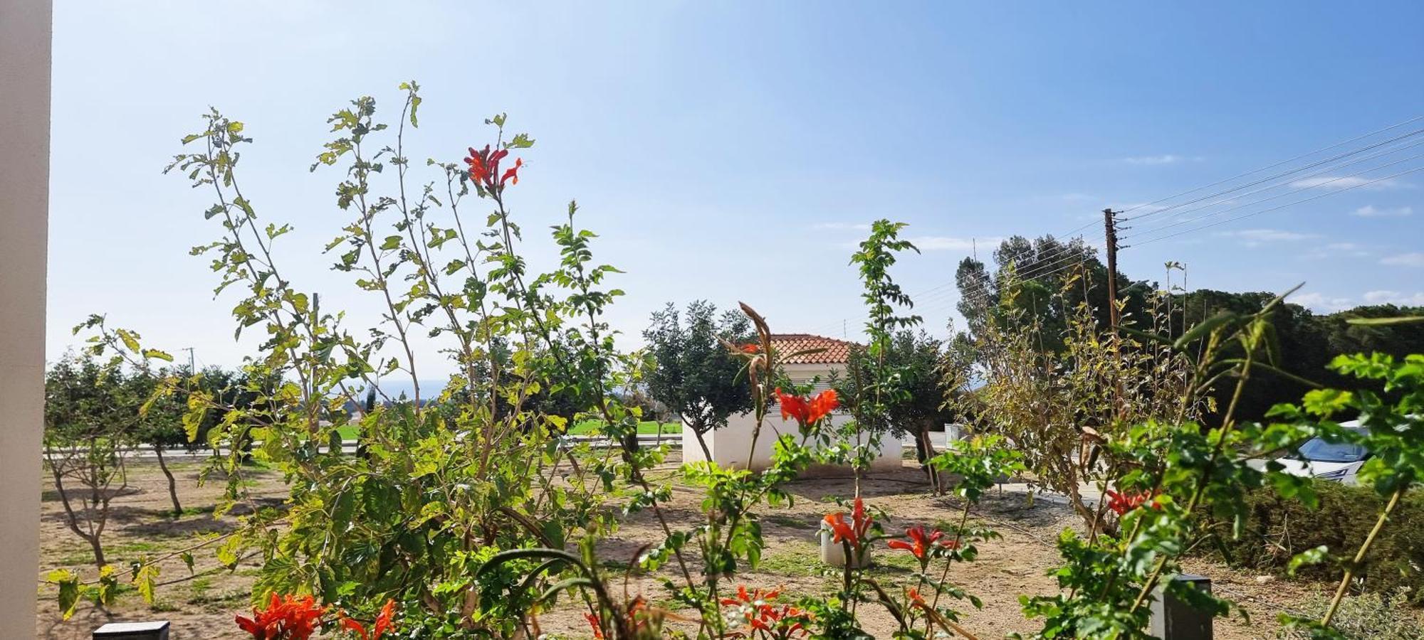 Shanti Paphos Villa Luaran gambar