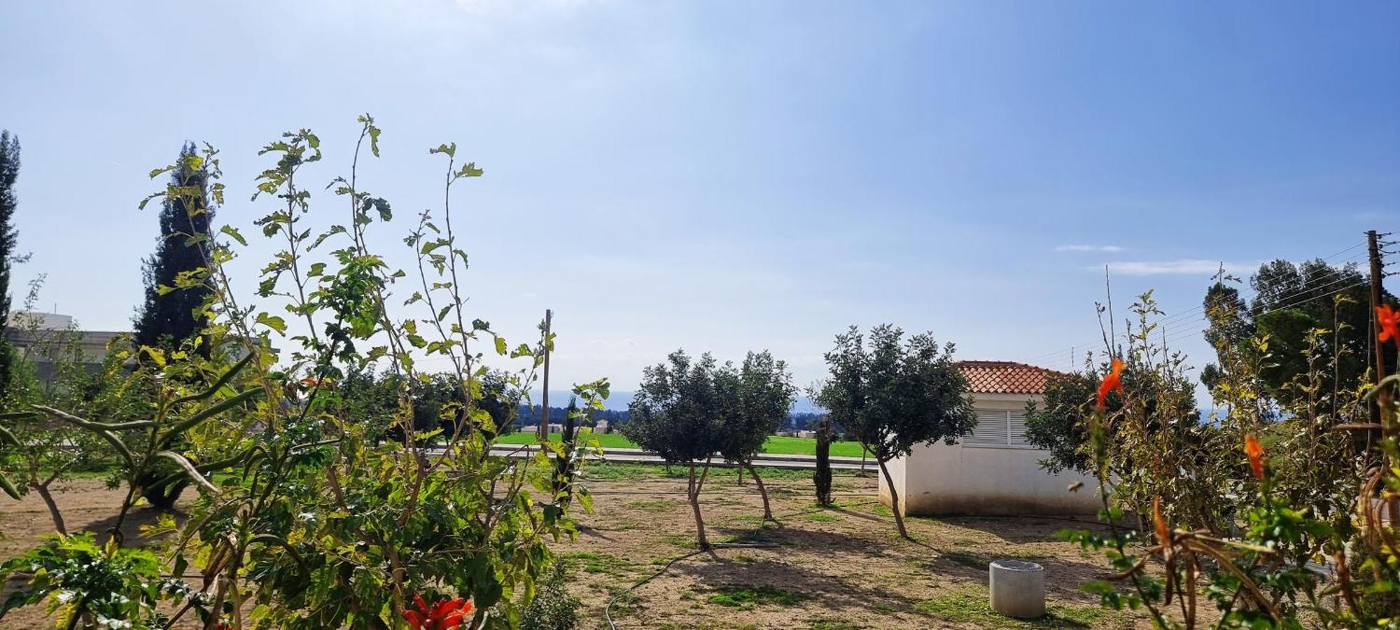 Shanti Paphos Villa Luaran gambar